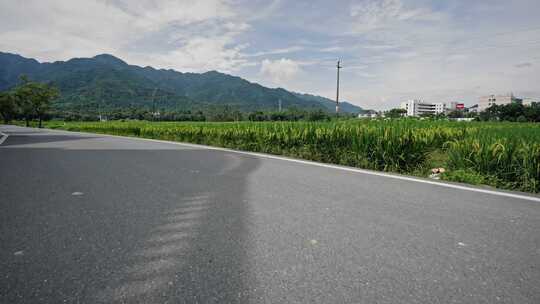 【正版素材】水稻三农农业乡村道路6480