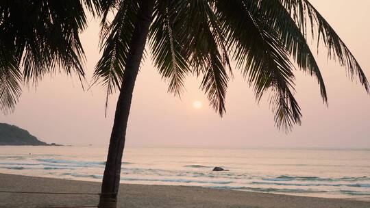 日出时分海边椰子树和沙滩