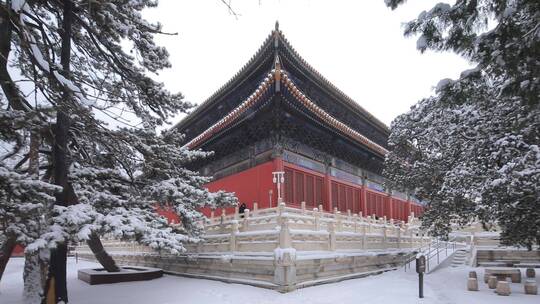 北京定陵雪景拍摄视频素材模板下载