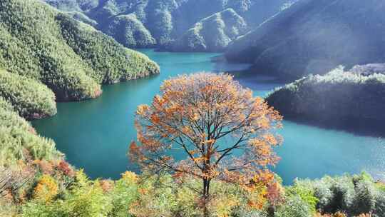 四明山秋天秋景秋色 茅镬公园