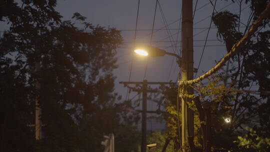 路灯 夜晚空镜 道路夜景