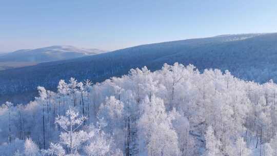 大兴安岭林海雪原冬季雾凇250113 (3)