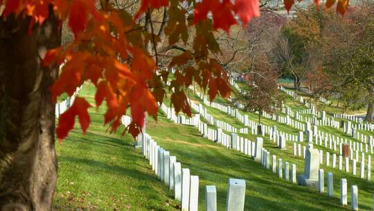 华盛顿特区阿灵顿国家公墓墓地视频素材模板下载