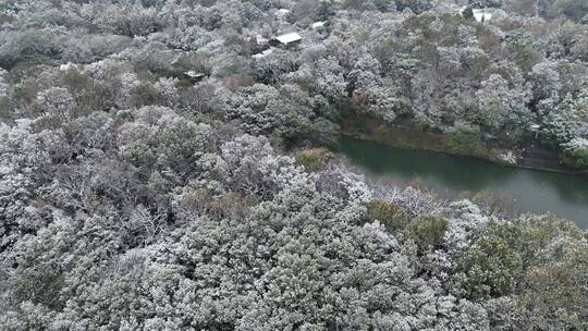 航拍西湖大雪