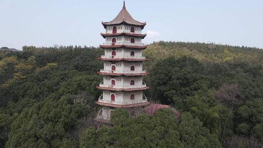 庐山东林寺4K航拍原素材视频素材模板下载