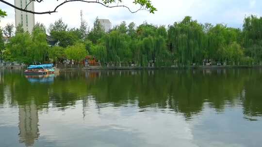 湖边垂柳游船风景