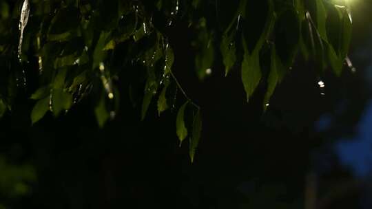 夜晚下雨都市