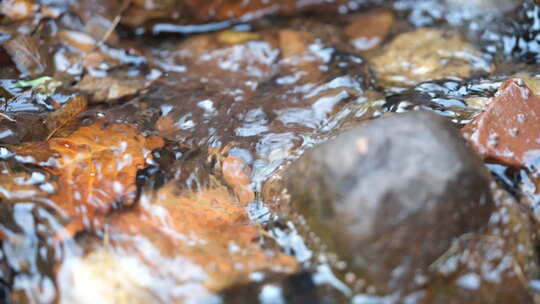 流水 小溪 生命源泉 流动的水 慢放 清水