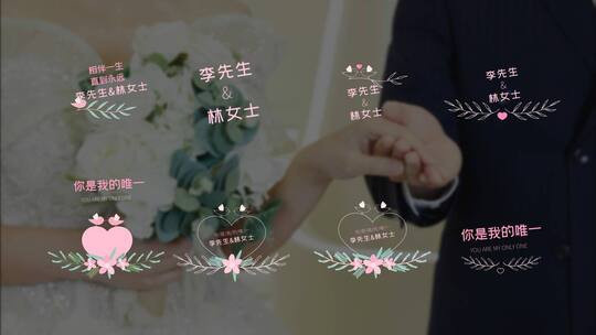 唯美浪漫婚主题字幕展示AE模板