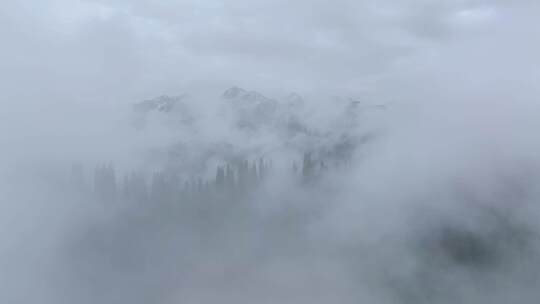 航拍新疆雪山森林风光