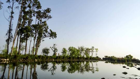 东大河湿地公园风光延时