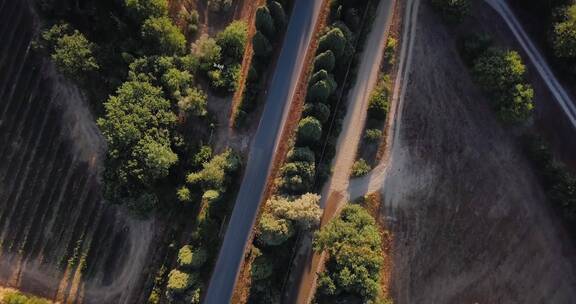 航拍汽车在林间公路上行驶