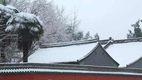 大雪 冬至 大寒　西安古建筑罔极寺