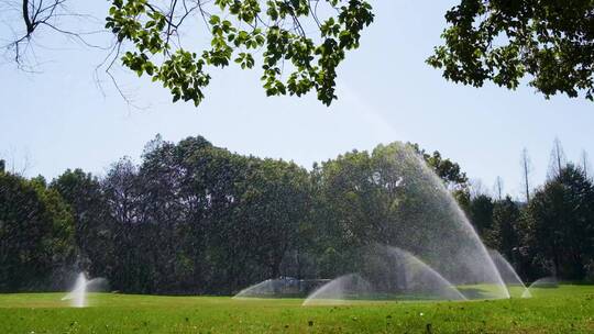 城市草坪洒水喷水逆光升格视频