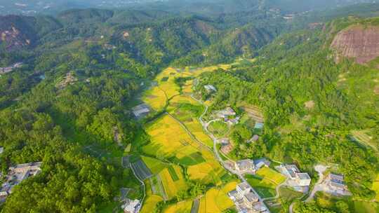 山村田园风光稻田水稻新农村自然风景