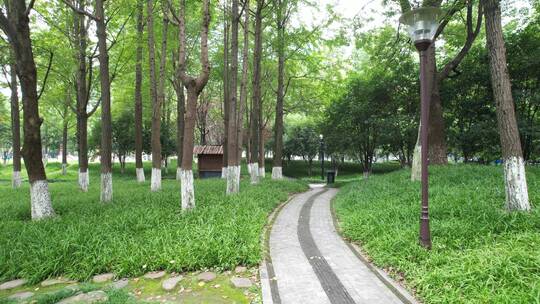 杭州江干区世纪花园公园航拍
