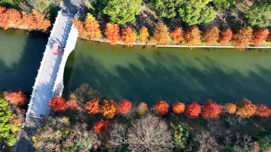 上海奉贤海湾国家森林公园  奉贤生态湿地