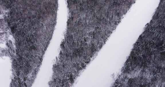 航拍黑龙江伊春梅花山滑雪场雪景