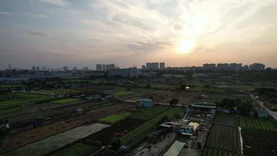 夕阳下的城郊农业基地航拍