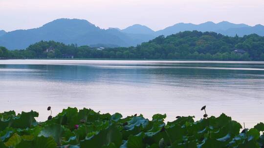 航拍傍晚杭州西湖美丽的湖光山色