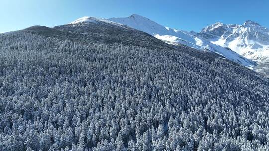 高原雪山云雾素材