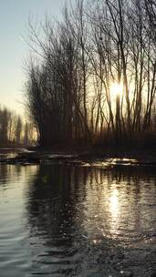 4K竖拍-北方冬天暖阳下的河流潺潺流水