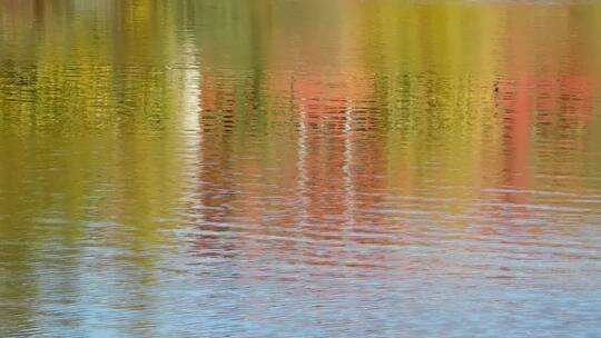湖面反射的树叶的颜色