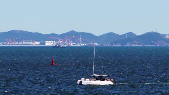慢动作航拍大连东港蔚蓝海面帆船与海鸥共舞