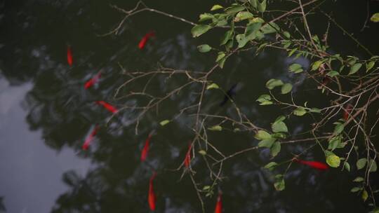 杭州飞来峰永福寺禅院风景