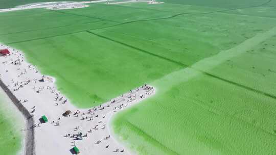 航拍青海察尔汗盐湖翡翠绿色湖水青甘大环线