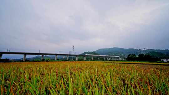 田野间的高铁线路航拍风光