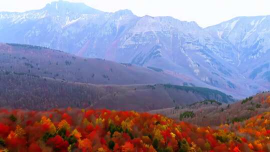 秋日山林与远处山脉风景