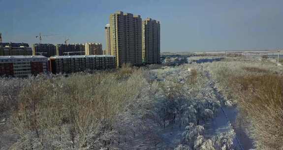 佳木斯雪后风光