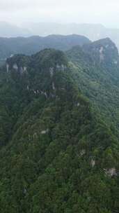 竖版航拍湖北神农架天燕景区4A景区