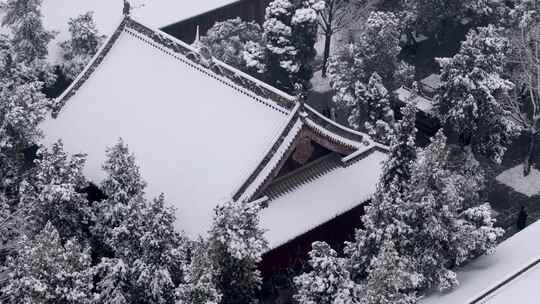 航拍洛阳白马寺雪景