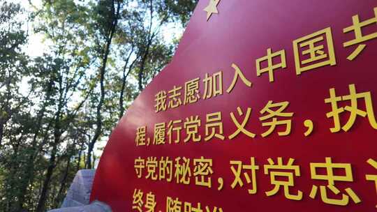 入党宣誓党建红色旗帜