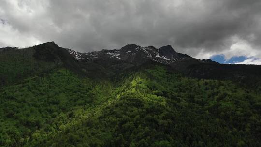 云南迪庆州白马雪山森林自然风光航拍视频素材模板下载