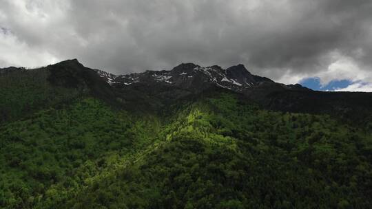 云南迪庆州白马雪山森林自然风光航拍