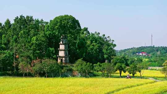 4k长沙望城惜字塔秋景