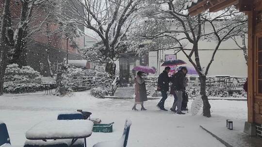 大雪天行走的人群打着伞护送老人