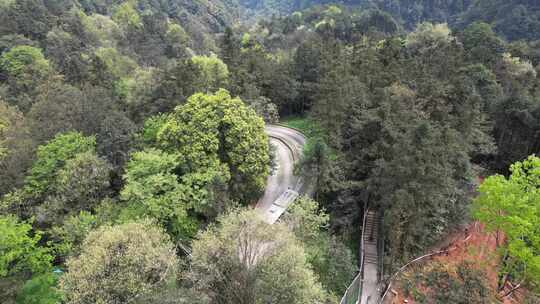 航拍山间小路与大巴车