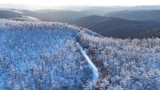 银装素裹的大兴安岭冬季山林