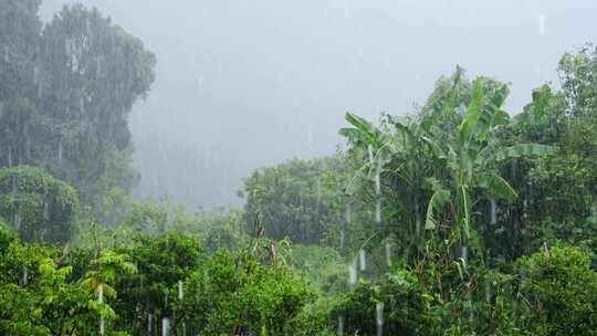 古建筑狂风暴雨