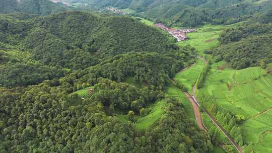 杭州西湖龙井茶园梅家坞清新茶山