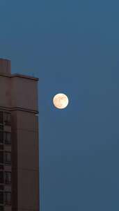 4K满月月亮从建筑背后升起延时竖屏