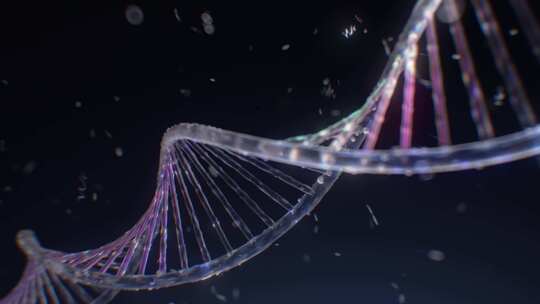 科技信息化数据DNA