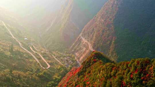 三峡红叶