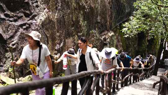 清晨爬山登山上楼梯背影脚步特写森林爬楼梯