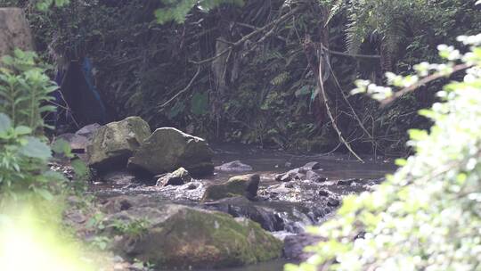 山间溪水