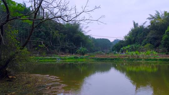 南方乡村鱼塘水塘田园自然风景